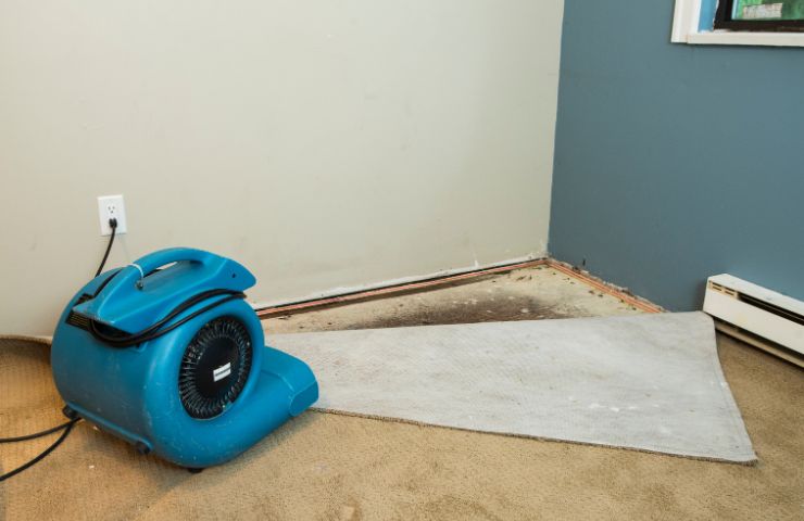 Immediate Response & Water Removal South Miami FL