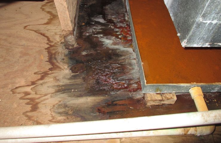 Insurance Claim Assistance for Water Damage in Miami, FL