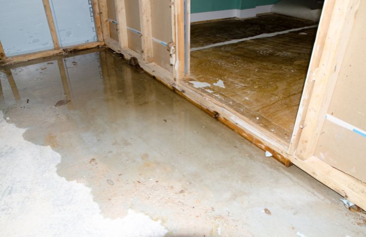 Professional Water Damage Restoration in Boynton Beach, FL
