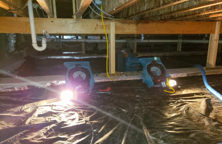 Reliable Water Damage Restoration in Fort Myers Shores, FL – Local Experts Near Me